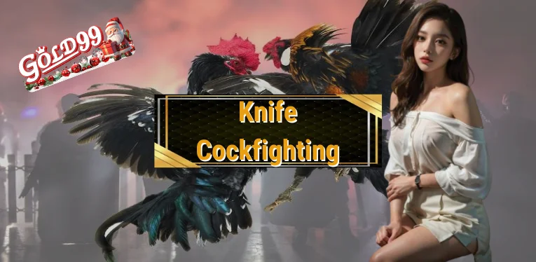 Knife Cockfighting